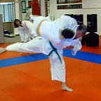 adults practicing martial arts in Alexandria, VA